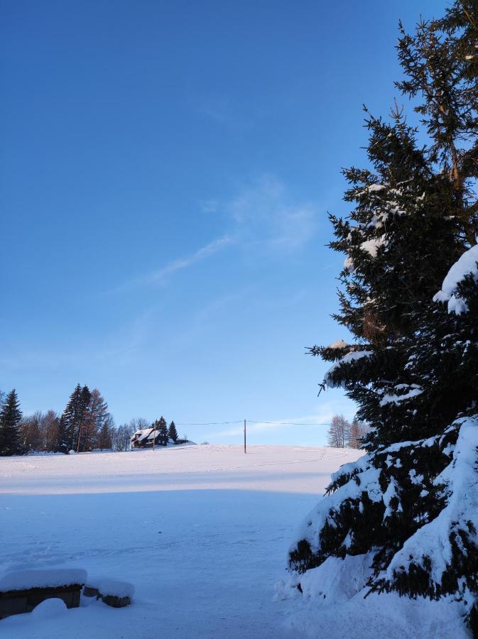 Villa Sirovka Horní Polubný Esterno foto