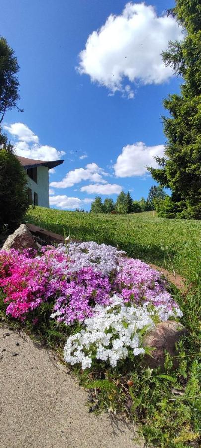 Villa Sirovka Horní Polubný Esterno foto